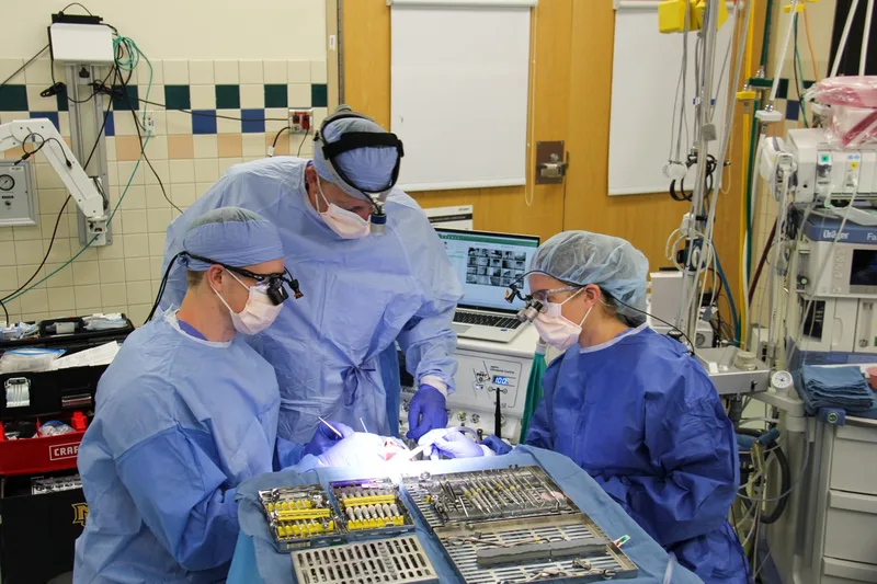 Photo of Dr. Christopher E Okunseri, DDS, MSC