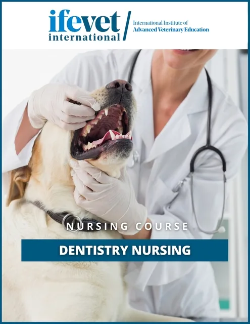 Photo of Dr. Erica Krohn Jany Migliorati, D.D.S.