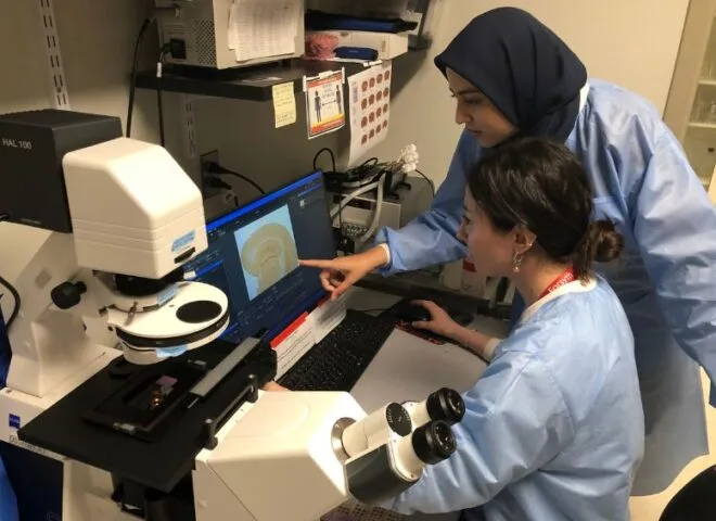 Photo of Dr. Hatice Hasturk, DDS, PH.D.