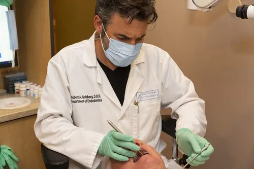 Dr. Robert Goldberg