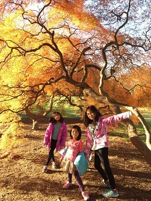 Photo of Dr. Sandra S Chang, DDS