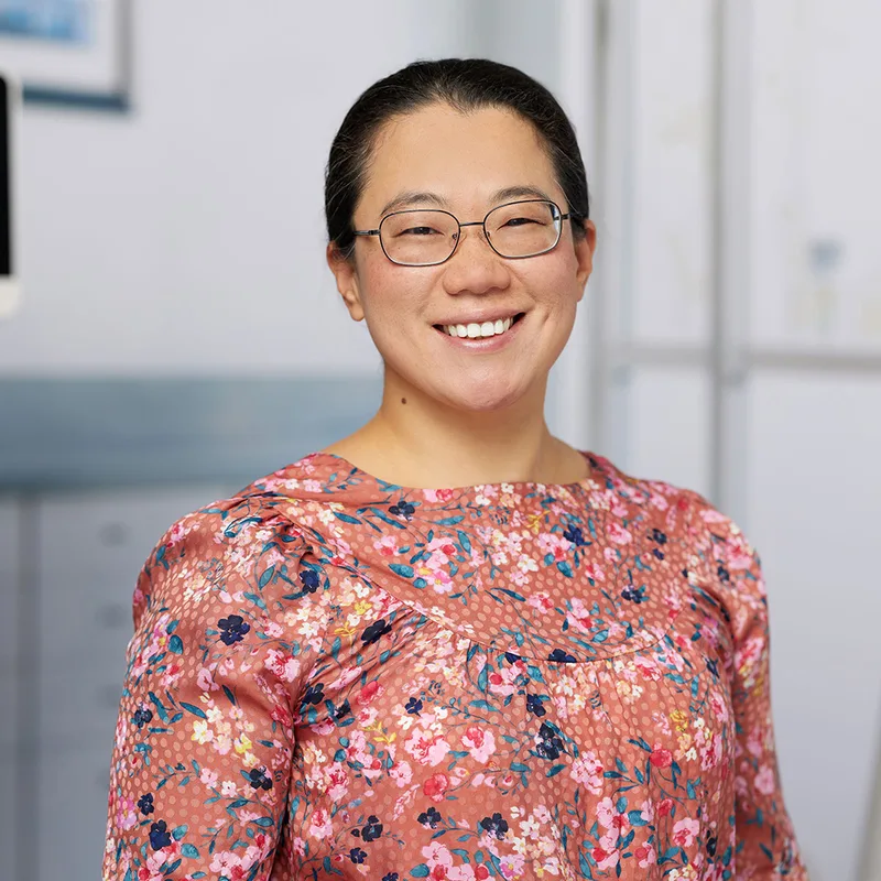 Photo of Dr. Somi Kim, DMD, MD